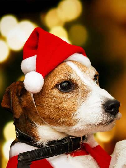 1pc Pet Santa Hat Soft Warm Festive Puppy Kitten Costume Accessory For Christmas Party - Great For Pet Photography And Holiday Celebrations, Christmas Pet Decorations, Theme Party Decor, Christmas Decor, Christmas Pet Hat Home Decor Christmas Decorations Room Decor Winter