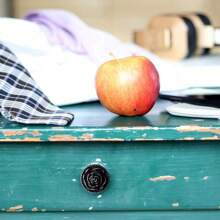 Vintage Rose Cabinet Knobs, Antique Bronze Cupboard Dresser Door Pull Round Zinc Alloy Knob Flower Drawer Handles With 3 Sized Screws For Furniture Kitchen Cupboard Closet Wardrobe - Bronze - View 7