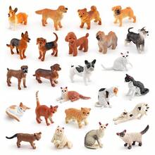 Lifelike Mini Animal Model Toy Sets ,Mini Figures ,Lps ,Littlest Pet Shop - Multicolor - View 6
