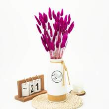 60/120 Pcs Dried Natural Flowers Decoration, Natural Dried Rabbit Tail Grass Flowers, Dried Pampas Grass, Used For Home Decor, Wedding Decor, Party Decor, DIY Craft, Shooting Props, Theme Decoration, 19.7inch (White) - Rose Red - View 6