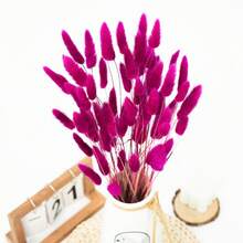 60/120 Pcs Dried Natural Flowers Decoration, Natural Dried Rabbit Tail Grass Flowers, Dried Pampas Grass, Used For Home Decor, Wedding Decor, Party Decor, DIY Craft, Shooting Props, Theme Decoration, 19.7inch (White) - Rose Red - View 7