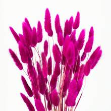 60/120 Pcs Dried Natural Flowers Decoration, Natural Dried Rabbit Tail Grass Flowers, Dried Pampas Grass, Used For Home Decor, Wedding Decor, Party Decor, DIY Craft, Shooting Props, Theme Decoration, 19.7inch (White) - Rose Red - View 4