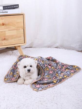 1 件珊瑚绒爪印双面轻质宠物毯/披肩，适合所有季节的小型/中型猫和狗