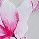 متعدد الألوان