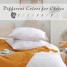 Seersucker Sage Green Comforter Full Size Comforter Sets, Sage Green Comforter Set Full, Sage Comforter Set Full Sage Comforter Full Size Bed Comforter Sets,Sage Green Full Size Comforter Set - trắng - Xem 4