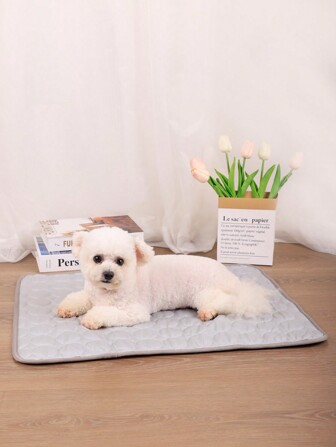 1 片装多用途薄凉垫，透气可水洗，适合夏季小型/中型/大型猫狗睡觉。（重要提示：本产品为薄垫，并非厚实的冰块材质，适合在空调房间使用）