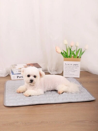 1 件多用途薄凉垫，透气可洗，适合夏季小型/中型/大型猫狗睡觉，适合可爱宠物的薄垫（重要提示：这是薄垫子，不是厚垫子，不是由冰块材料制成，适合在空调房间使用）