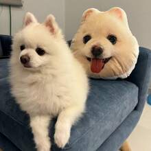 Apoya cabezas personalizados para mascotas, impresión a doble cara, cojín de apoyo lumbar personalizado para sofá y decoración del dormitorio, regalo ideal para ocasiones especiales - Mascota, Persona, Cojín con forma personalizada, Juguetes navideños ideales para él, ella, familia, amigos, niños para aniversarios, cumpleaños, Navidad, otoño/invierno, inauguración de la casa, sofá/cama, dormitorio/sala de estar