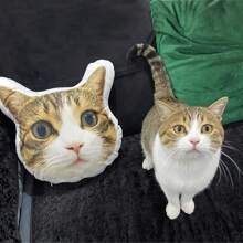 Apoya cabezas personalizados para mascotas, impresión a doble cara, cojín de apoyo lumbar personalizado para sofá y decoración del dormitorio, regalo ideal para ocasiones especiales - Mascota, Persona, Cojín con forma personalizada, Juguetes navideños ideales para él, ella, familia, amigos, niños para aniversarios, cumpleaños, Navidad, otoño/invierno, inauguración de la casa, sofá/cama, dormitorio/sala de estar