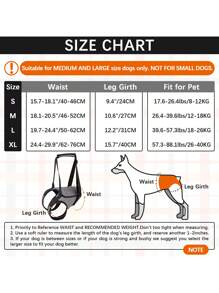 Portable Dog Lift Harness Dog Sling For Large Dogs Soft Padded Adjustable Dog Back Leg Sling For Old Disabled Joint Injuries - Grey - View 16