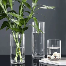 1pc Acrylic Vase, High-End Glass Hydroponic Plant Container For Living Room Flower Arrangement, Large Size, Anti-Fall Home Decor Room Decor Flower Vase Glass Vase