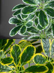 50-75cm große künstliche Palme, Fake Rattan Blatt, Kunststoff Strauchblatt, imitierter Rattan Bambuszweig, realistische Textur, geeignet für Heim- und Gartendekoration innen/außen, Valentinstag, Geburtstag, Abschlussfeier - Verschiedenfarbig - Übersicht 10