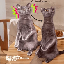 3D Printed Special-Shaped Ugly Cat And Dog Pillows Without White Edges, Customized Photo Double-Sided Pet Pillows - Unique Shape Design, Perfect Gifts For Friends, Family, And Couples On, Cat Meme Pillow, Funny Object, Crying Cat, Dog Pillow Custom, Customisable, Personalised Pillows Multi-Functional, Ornamental, Animal Fashionable, Soft, Adorable