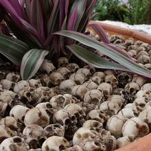 Bộ 20 bộ xương Gnome Halloween Mini, Đồ trang trí Halloween, Phụ kiện Halloween, Cho cây trồng trong chậu, Đá lát, Giáng sinh - trắng - Xem 10