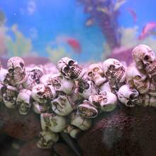 Bộ 20 bộ xương Gnome Halloween Mini, Đồ trang trí Halloween, Phụ kiện Halloween, Cho cây trồng trong chậu, Đá lát, Giáng sinh - trắng - Xem 6