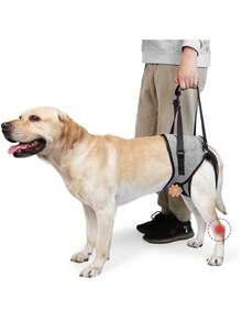 Portable Dog Lift Harness Dog Sling For Large Dogs Soft Padded Adjustable Dog Back Leg Sling For Old Disabled Joint Injuries - Grey - View 11
