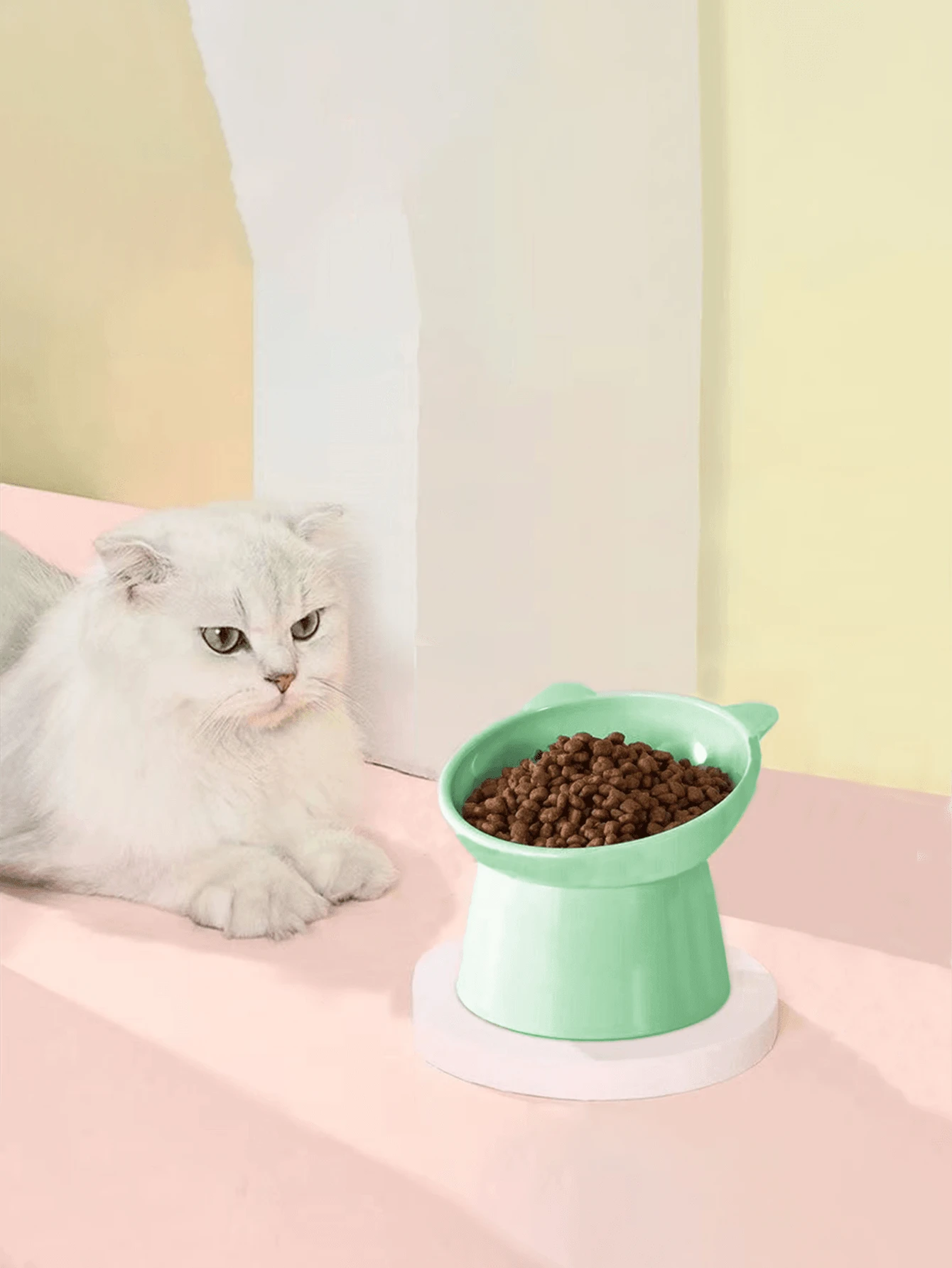 1pc Lovely Pet Bowl WithTilted Elevated Bowls & Plastic Material For