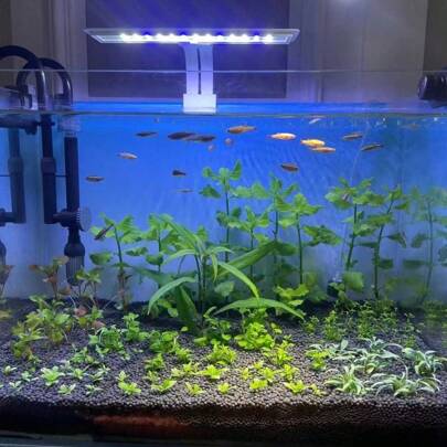 Đèn hồ cá, đèn bể cá, đèn chiếu sáng cây thủy sinh, đèn trang trí, đèn trồng cây dùng nguồn USB