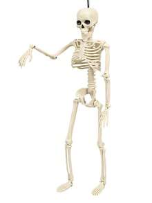 1PC Halloween 40cm Skeleton Model, Plastic Skeleton Corpse, Haunted House Party Scene Decoration Props - White - View 12