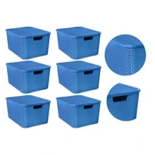 Kit 6 Rattan Organizer Boxes 7 Liters With Lid - 藍色 - 查看 1