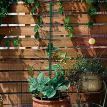 Plant Stand Vine Climbing Rack Spiral Iron Ring Stand Pot Plant Fixed Vine Climbing Rack Gardening Planter Stand - màu đen - Xem 2