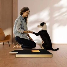 File Double Sided Mat Scratch Board Pet Nail Care Grind Nails Dog Scratch Pad UK - 1 - View 6