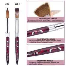 Kolinsky 丙烯酸指甲刷 - 柔软刷毛，涂抹顺滑，非常适合 DIY 和沙龙美甲，无香