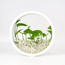 Chậu trồng cây treo tường bằng nhựa nghệ thuật trang trí 25cm/9,84in dành cho cây mọng nước và cây không khí - Nhiều màu - Xem 6