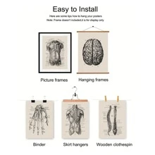 1/8 piezas Impresiones de póster de lienzo sin marco, obras de arte de anatomía humana, carteles vintage de esqueleto y músculos, cuadros de pared médicos, pinturas educativas, decoración de pared impermeable
