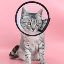 1 pièce Collier de récupération pour animaux de compagnie, cône post-opératoire, couvre-tête pour animaux de compagnie. Adapté aux animaux de compagnie de moins de 6 kg