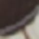 Gatito