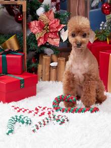 1pc Random Christmas Pet Toy, Christmas Pet Chew Rope Toy, Candy Cane Chew Toy, Dog Toys, Interactive Toys, Self Playing Toys, Christmas Gift