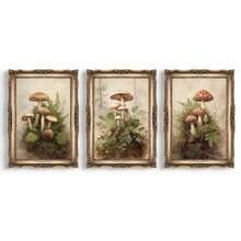 Set de 3 obras de arte de lienzo botánico vintage con setas - Sin marco, impresiones de alta calidad para decoración de sala de estar, dormitorio, cocina y oficina - Regalo de ideas de decoración de setas, decoración del hogar con setas, regalos de pósteres para cumpleaños y graduación