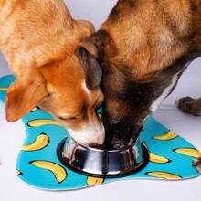 Pet Feeder Mat For Dog Cat Rabbit 44 Cm X 30 Cm Practical Mat - Rỉ Nâu - Xem 3