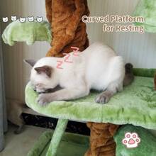 Local Warehouse Delivery, Cat Climbing Frames, Cat Nests, Cat Trees In One, Large Wooden Cat Shelves, Robbing Posts, No Property, Space Huts, Cat Shelves