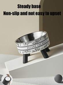 1 件装加高宠物碗，不锈钢狗/猫食碗和水碗，颈部友好型设计