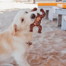 Indestructible Dog Toys Extreme Tough Interactive Toy For Aggressive Chewers ,Training And Cleaning - Rust Brown - View 4