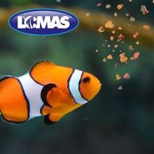 Lomas Hojuelas Premium para Peces 30g - Amarillo - Ver 3