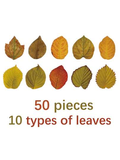50pcs/Roll Fallen Leaves Series Tape Autumn Decorative Adhesive Tape Masking Washi Tape, DIY Scrapbooking Sticker Label Decorative Stickers, Card Making, Arts And Crafts Projects