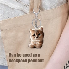 1 件个性化亚克力照片钥匙扣，高清印刷，季节性定制肖像钥匙扣，背包/汽车钥匙扣礼物送给朋友，色彩鲜艳，可爱，迷人，有趣，卡哇伊，Y2K，时尚，男女通用，休闲，定制，个性化，独特，定制，适合他的理想礼物，适合她、她、男朋友、女朋友、家人、朋友的理想礼物 - 彩色 - 查看 6