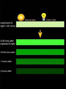 1pc 5m/16.4ft Glow-In-The-Dark Self-Adhesive Tape, Green Fluorescent Tape, Warning, DIY Decor Pattern, Luminous Tape For Stairs, Stage, Scooter, Bicycle, Decoration,Stickers,Wall Decal, Vinyl Decal For Home Decorations,Spring Decoration Items Refresh Your Home,Rama Decoration Stickers