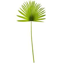 33'' Fan Palm Artificial Spray Plant (Set Of 6)