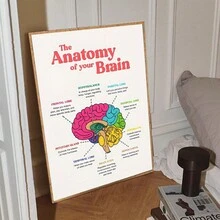 1 pieza Póster de anatomía cerebral - Pósteres y impresiones educativas para decoración del hogar, salud mental, psicólogo escolar - Pintura en lienzo simple, sin marco, color vibante, arte de pared educativo para aprendizaje y decoración - Multicolor - Ver 5
