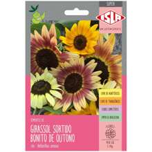 Beautiful Autumn Sunflower Seeds (Assorted) SUPER ISLA - 杏色 - 查看 1