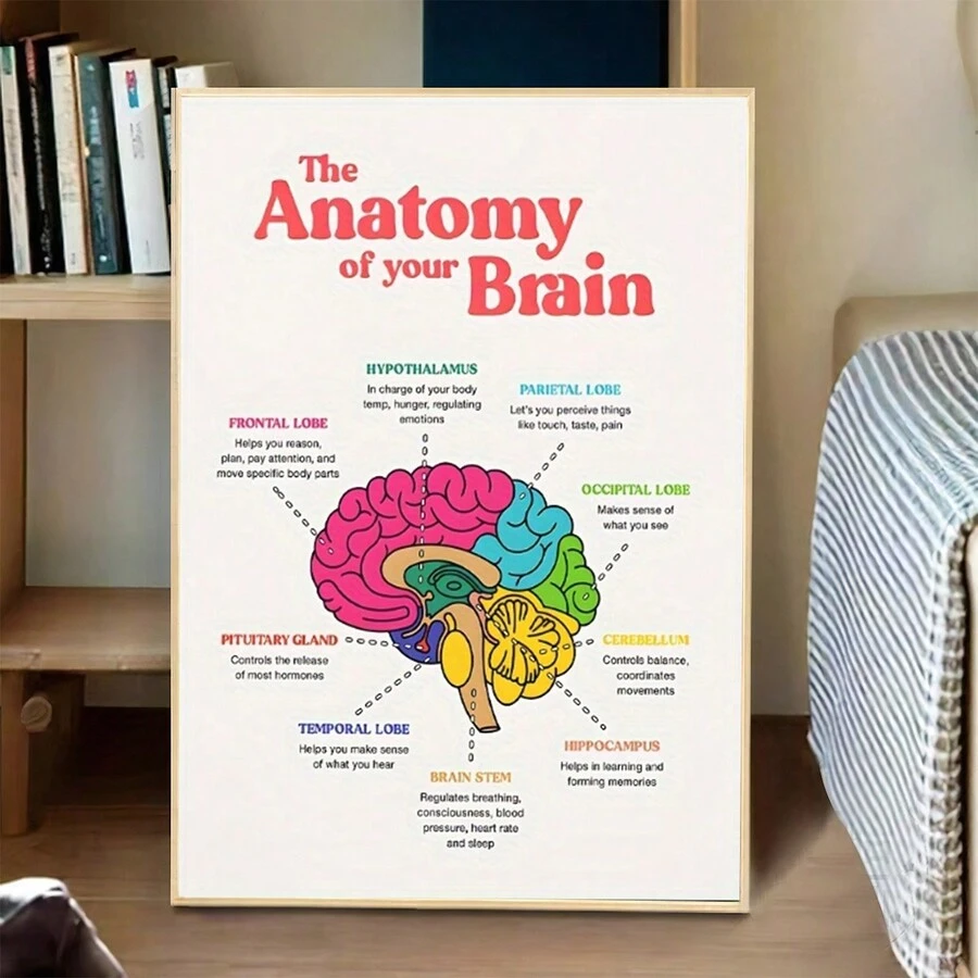 1 pieza Póster de anatomía cerebral - Pósteres y impresiones educativas para decoración del hogar, salud mental, psicólogo escolar - Pintura en lienzo simple, sin marco, color vibante, arte de pared educativo para aprendizaje y decoración