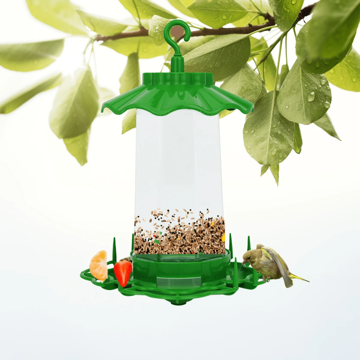 Comedouro Verde Automático Para Pássaros Passarinhos Ao Ar Livre ...