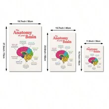 1 pieza Póster de anatomía cerebral - Pósteres y impresiones educativas para decoración del hogar, salud mental, psicólogo escolar - Pintura en lienzo simple, sin marco, color vibante, arte de pared educativo para aprendizaje y decoración - Multicolor - Ver 4