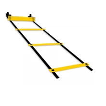 Agility Ladder Functional Training 7 Steps Training Gym Football Futsal - Màu vàng - Xem 1