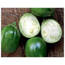 Round Okra Seeds Morro Grande FELTRIN