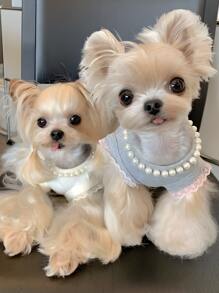 8 毫米全珍珠狗/猫项链，经典宠物珠宝配饰